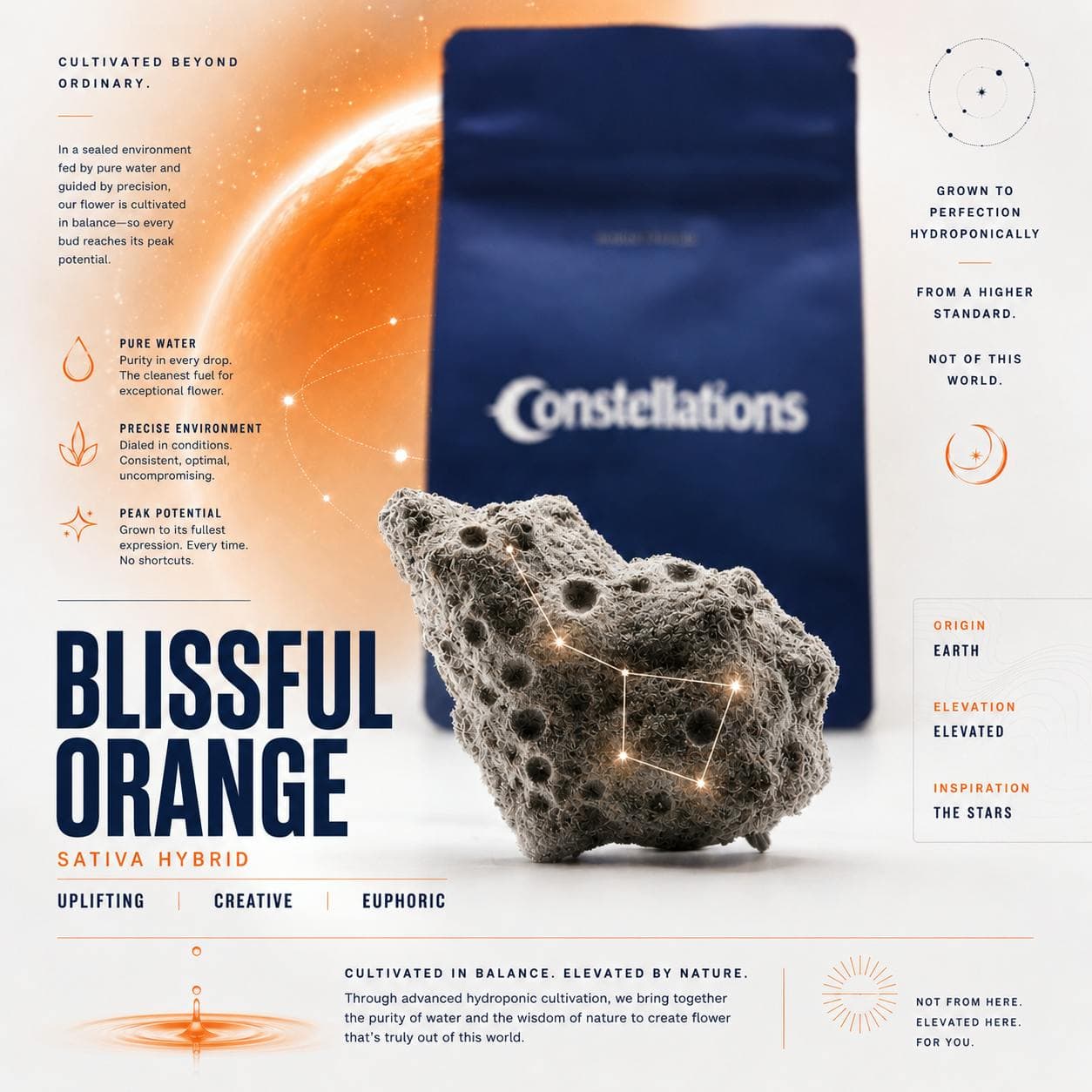 Blissful Orange