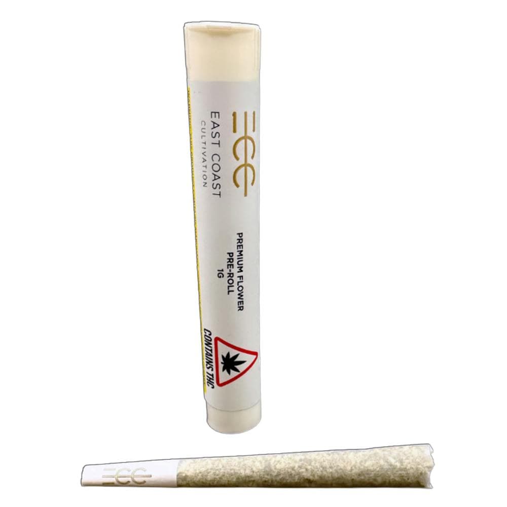 Betty Ford - Preroll