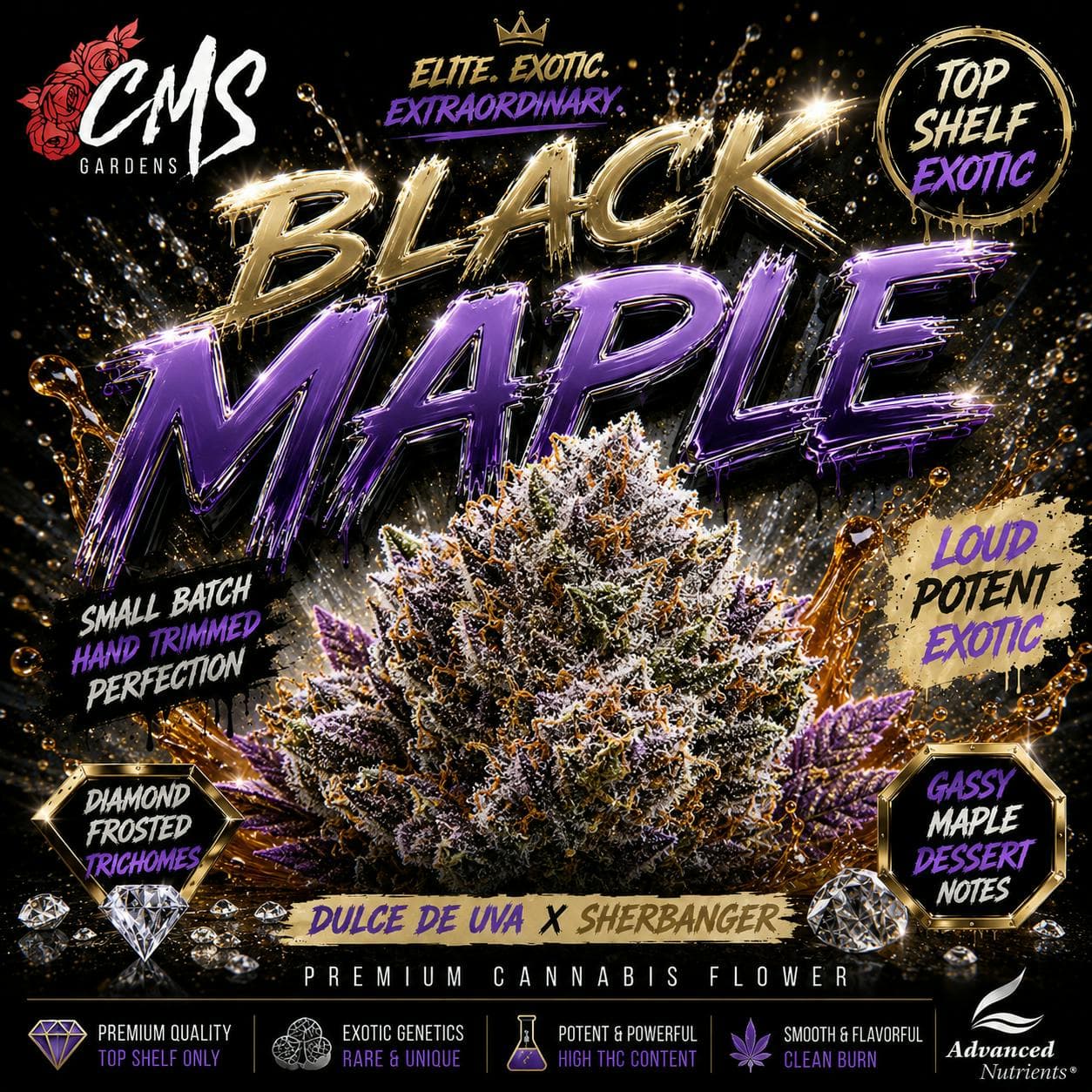 Black Maple