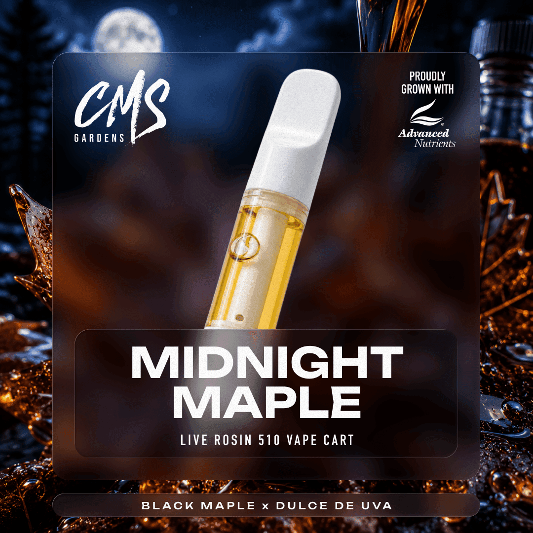 Midnight Maple - Cartridge