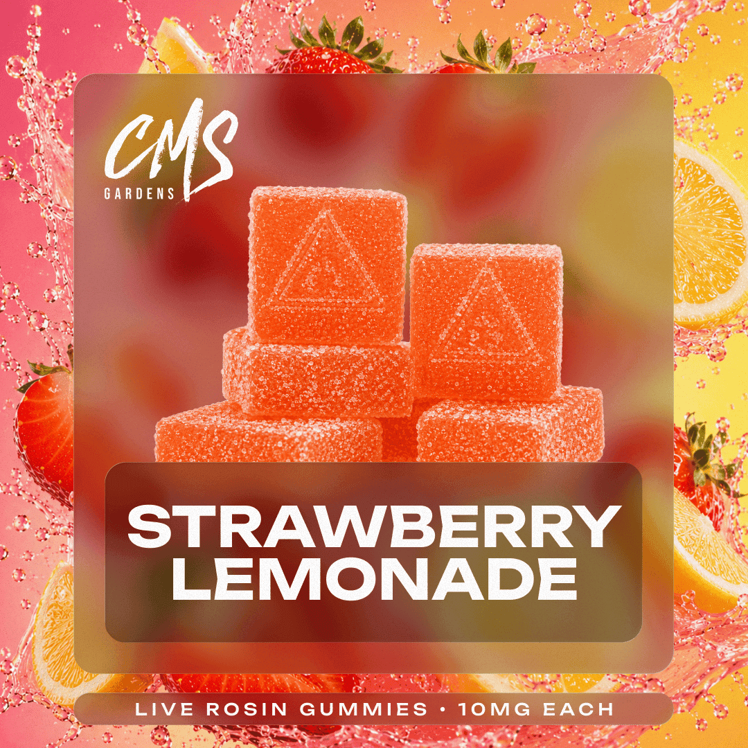 Strawberry Lemonade Live Rosin Gummies 10mg 10 Pk