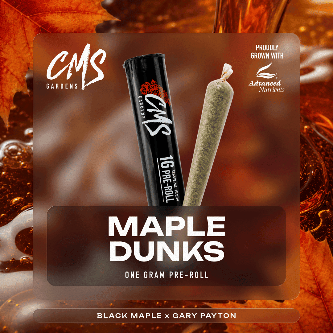 Maple Dunks