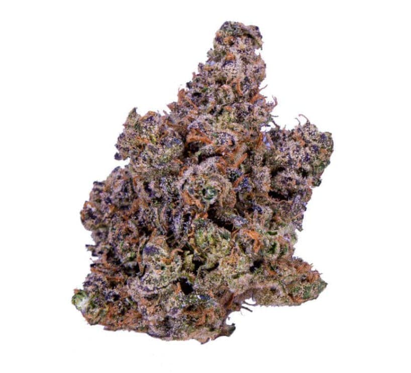 Purple Jellato