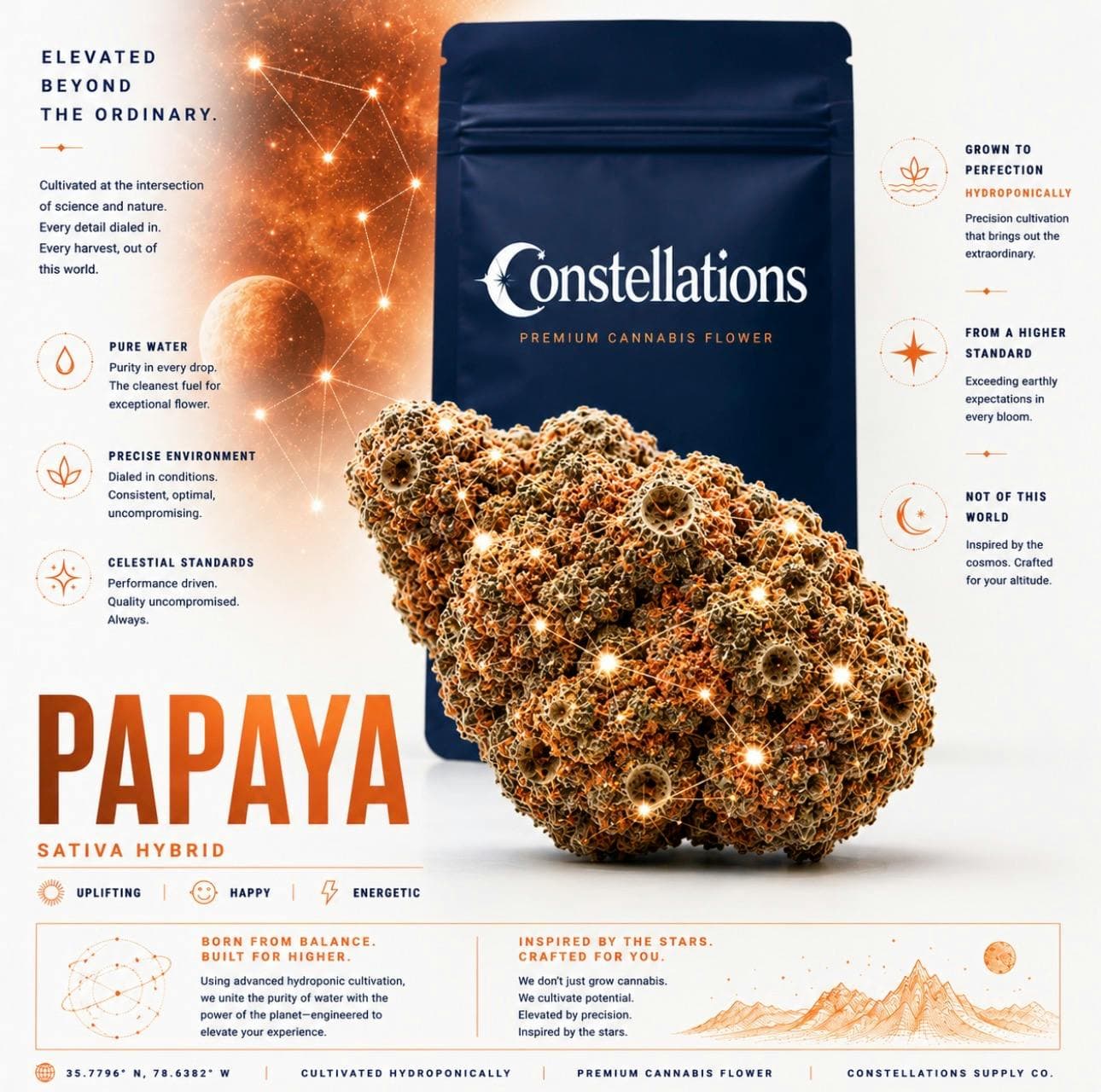 Papaya