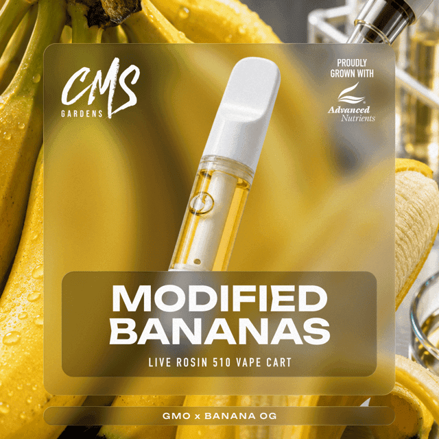 Modified Bananas
