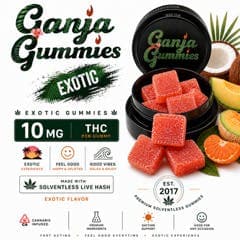 Ganja Gummies - Exotic - Full Spectrum Ice Water Hash