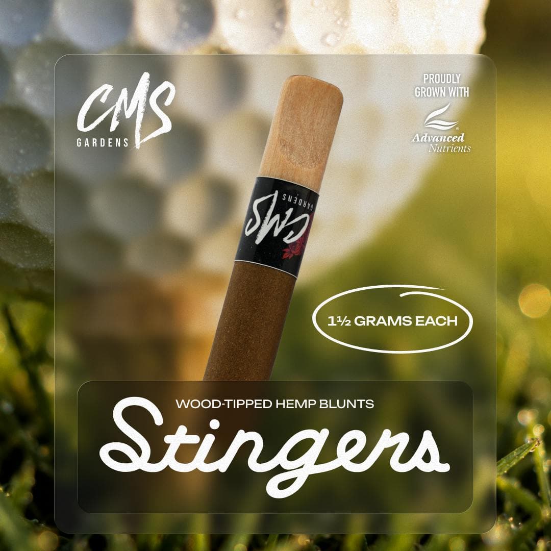 Blueberry Breath Stingers Hemp Blunt