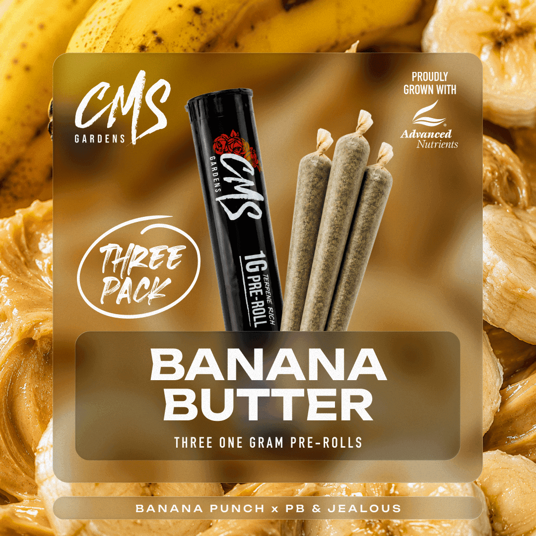 Banana Butter - x 3pk Preroll Multipack