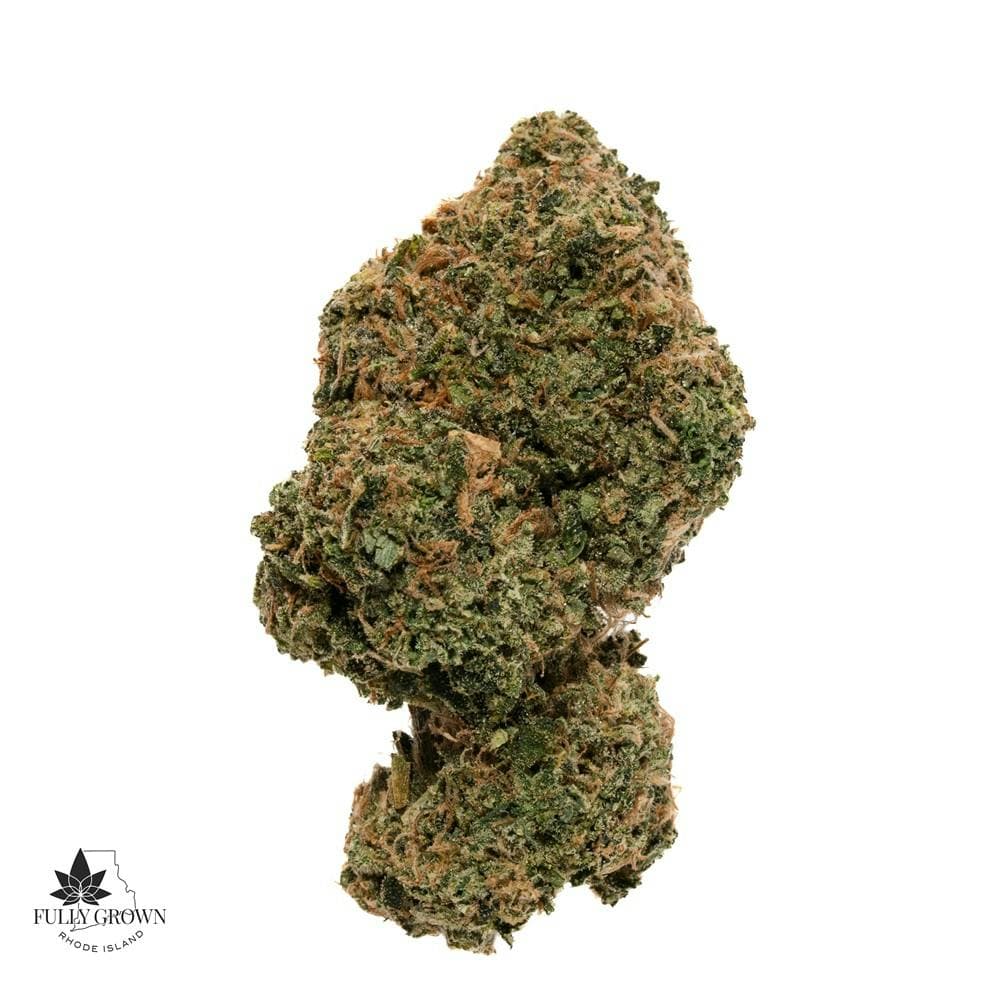 RI Fully Grown Space Jam Flower
