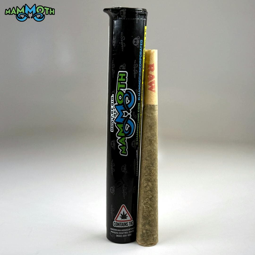 Mac Daddy x White Rainbow - Preroll