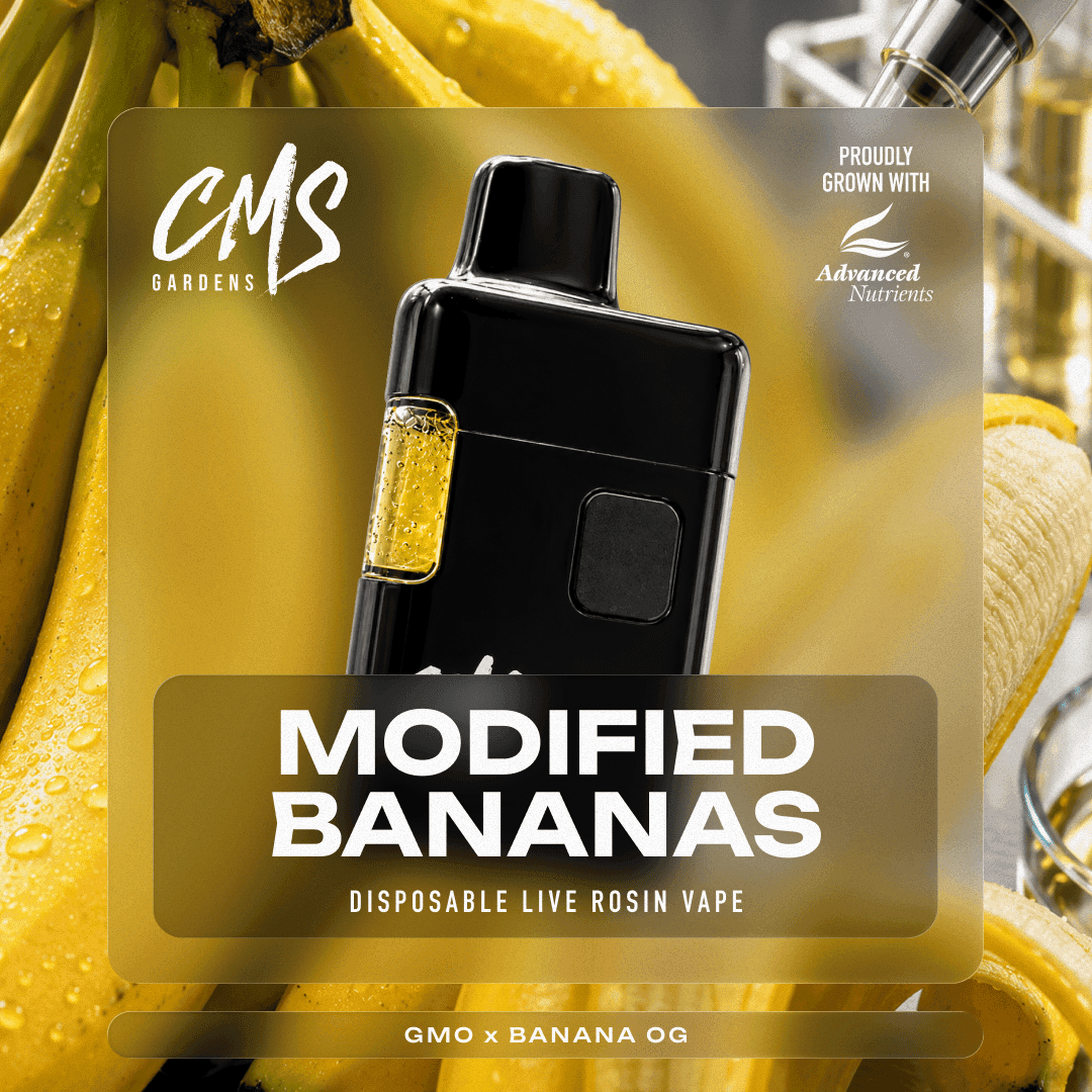 Modified Bananas - Live Rosin Disposable