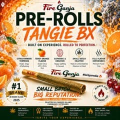 Tangie BX