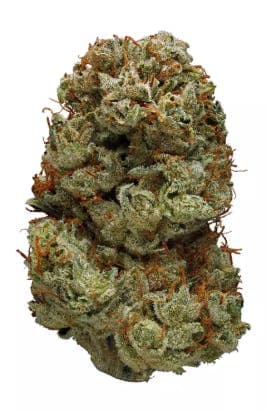 Northern Lights