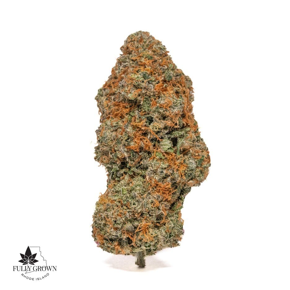 RI Fully Grown Kosher Candy Flower