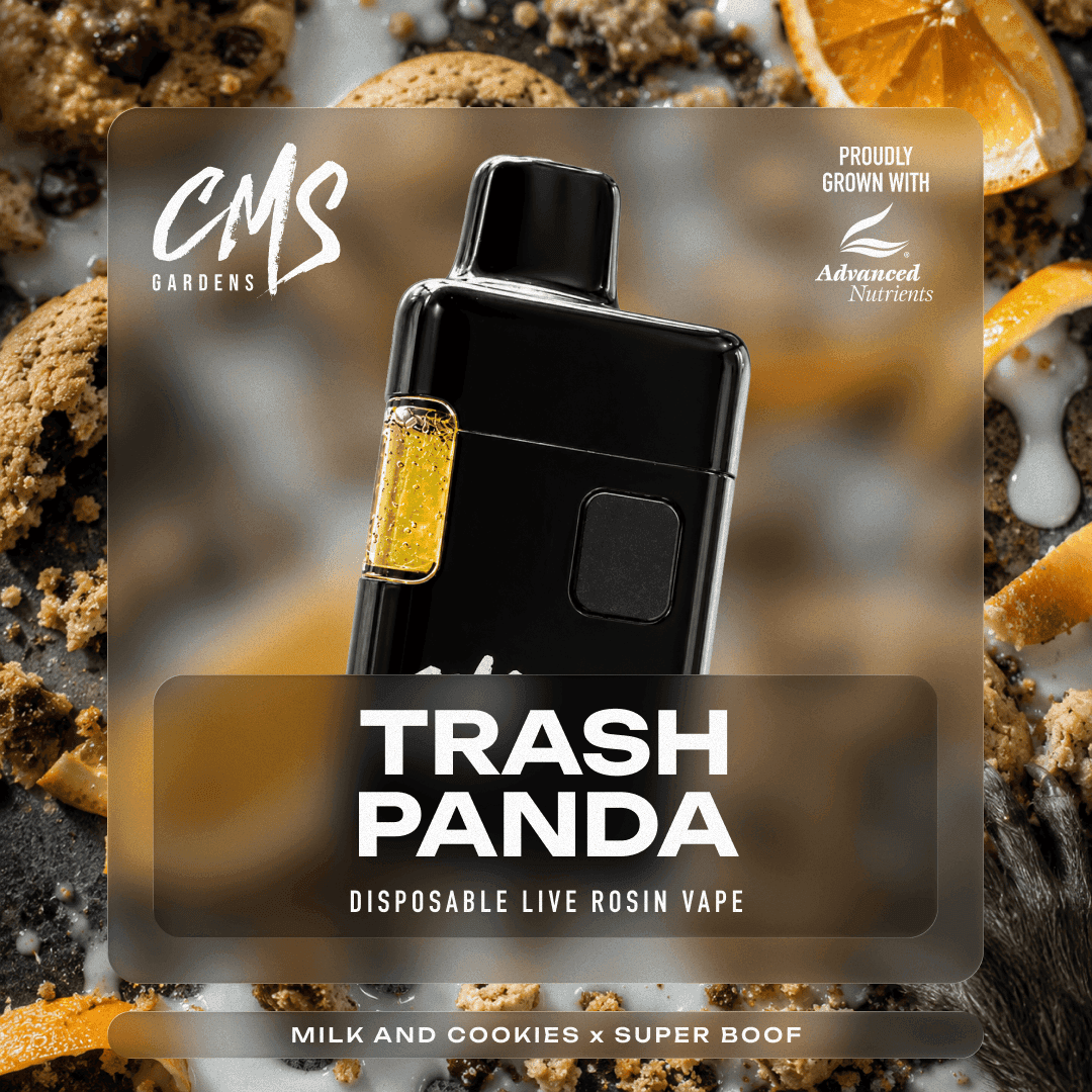 Trash Panda (Disposable)