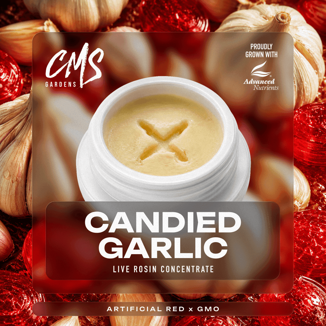 Candied Garlic