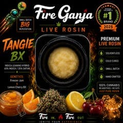 Tangie BX Live Rosin