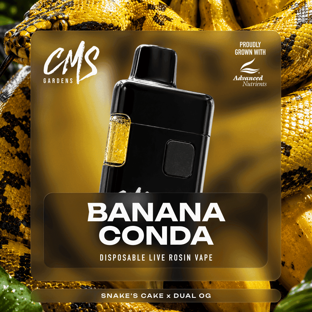 Bananaconda Live Rosin Disposable