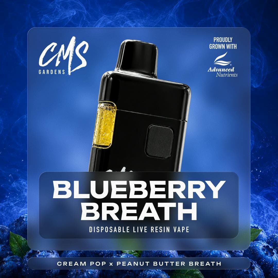 Blueberry Breath - Live Resin Disposable