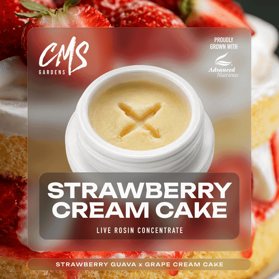 Strawberry Cream Cake