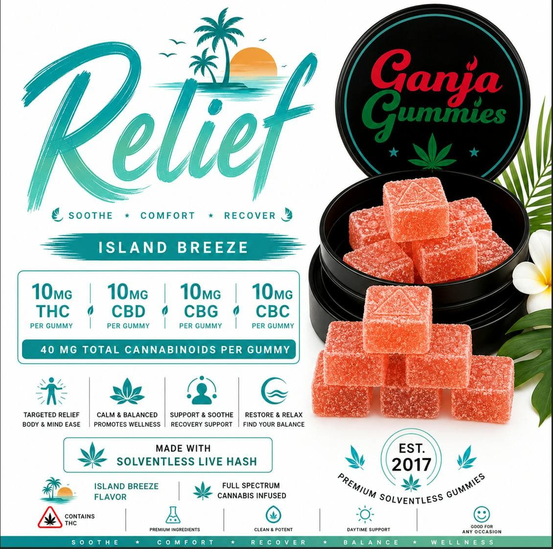 Relief Gummies 10mg 10pk