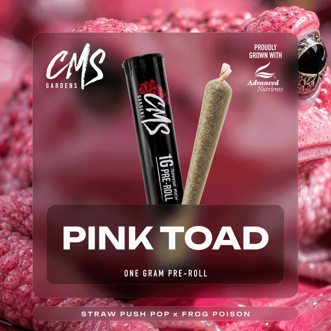 Pink Toad - Infused Preroll