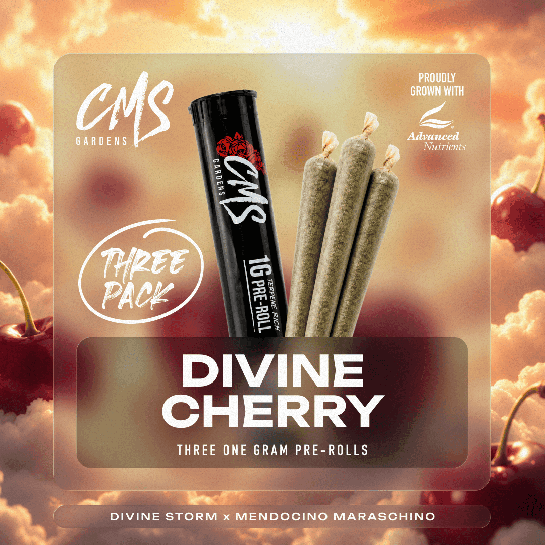 Divine Cherry 3pk