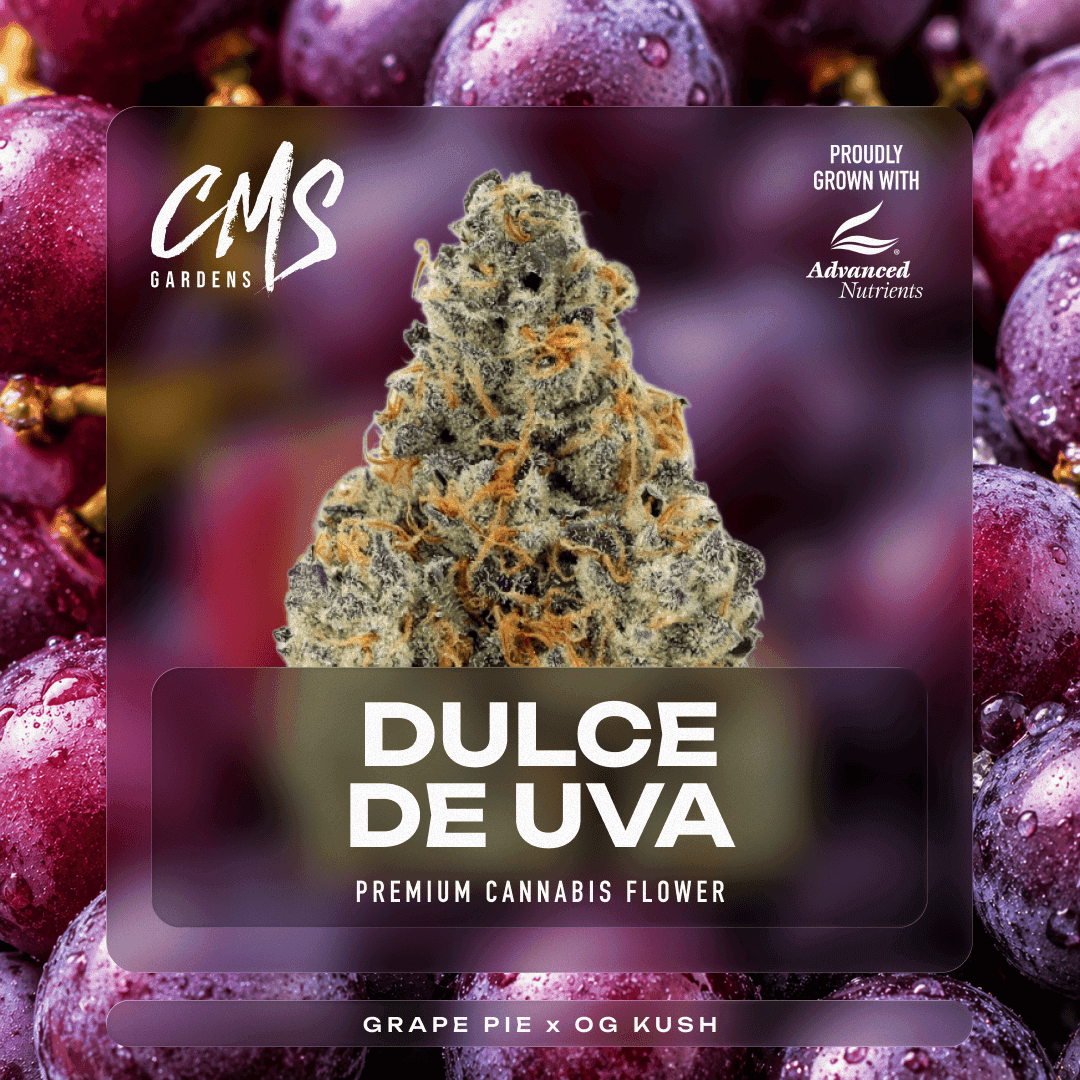 Dulce De Uva