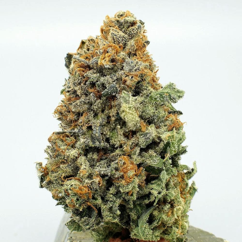 Sour Apple