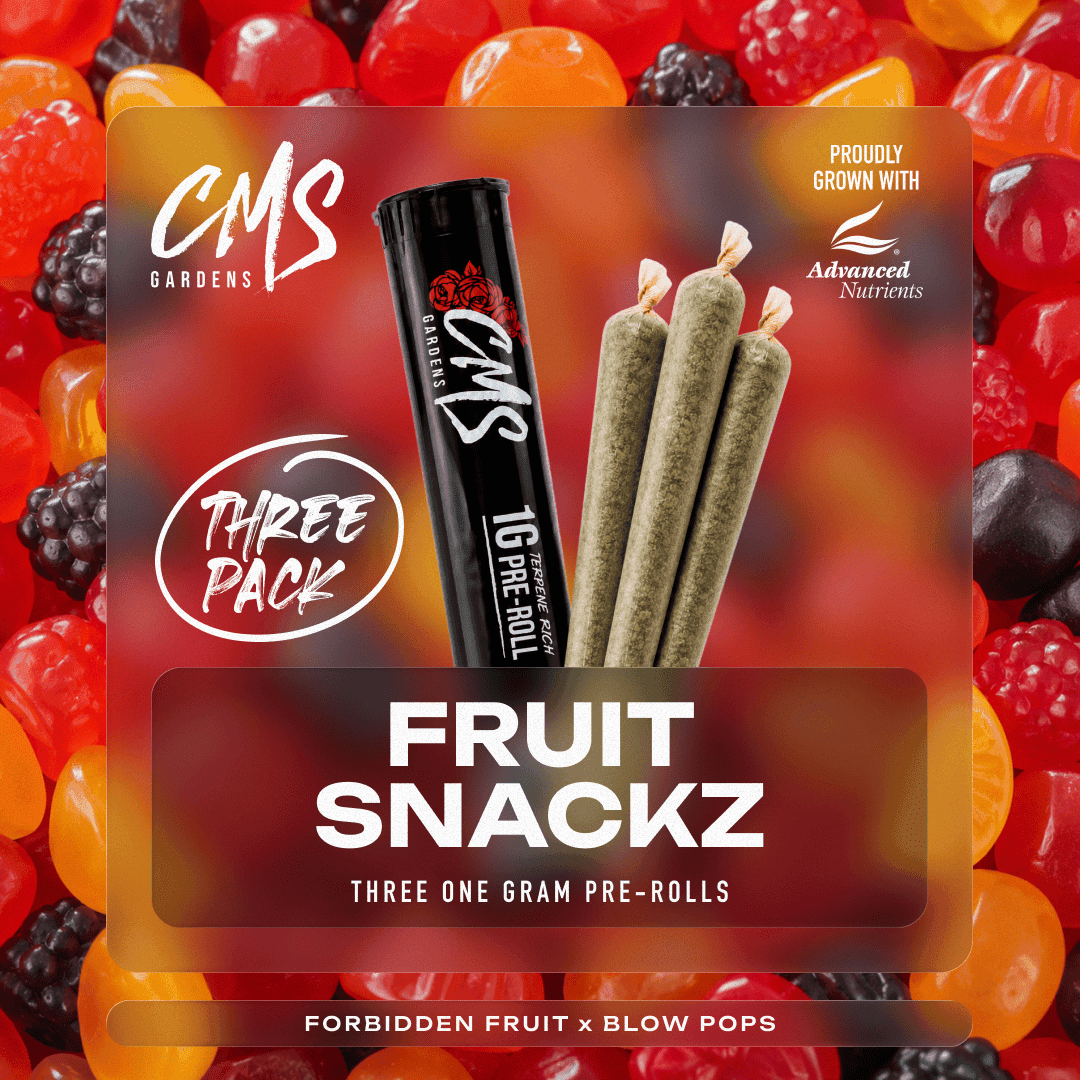 Fruit Snackz 3pk
