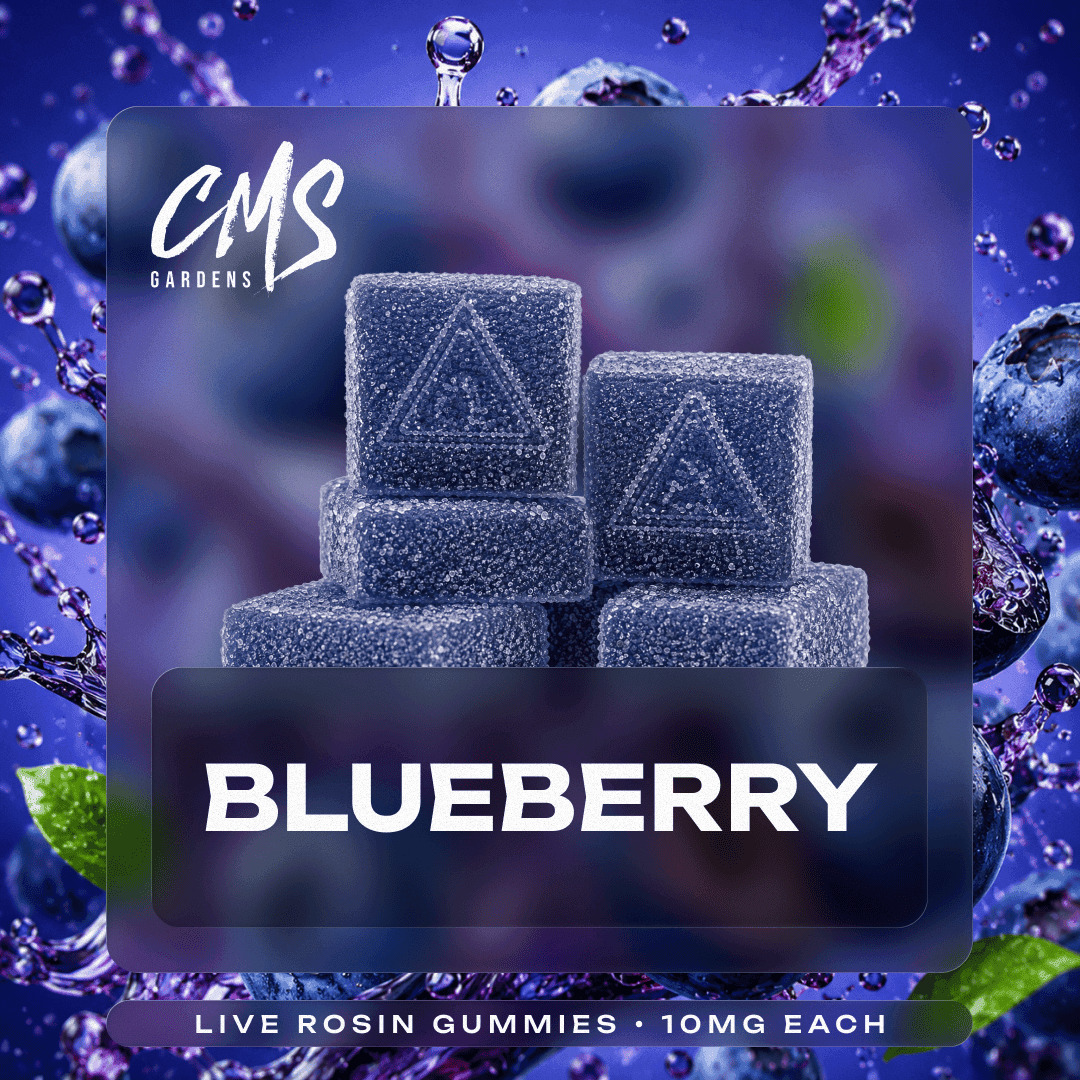 Blueberry Live Rosin Gummies 10mg 10 Pk