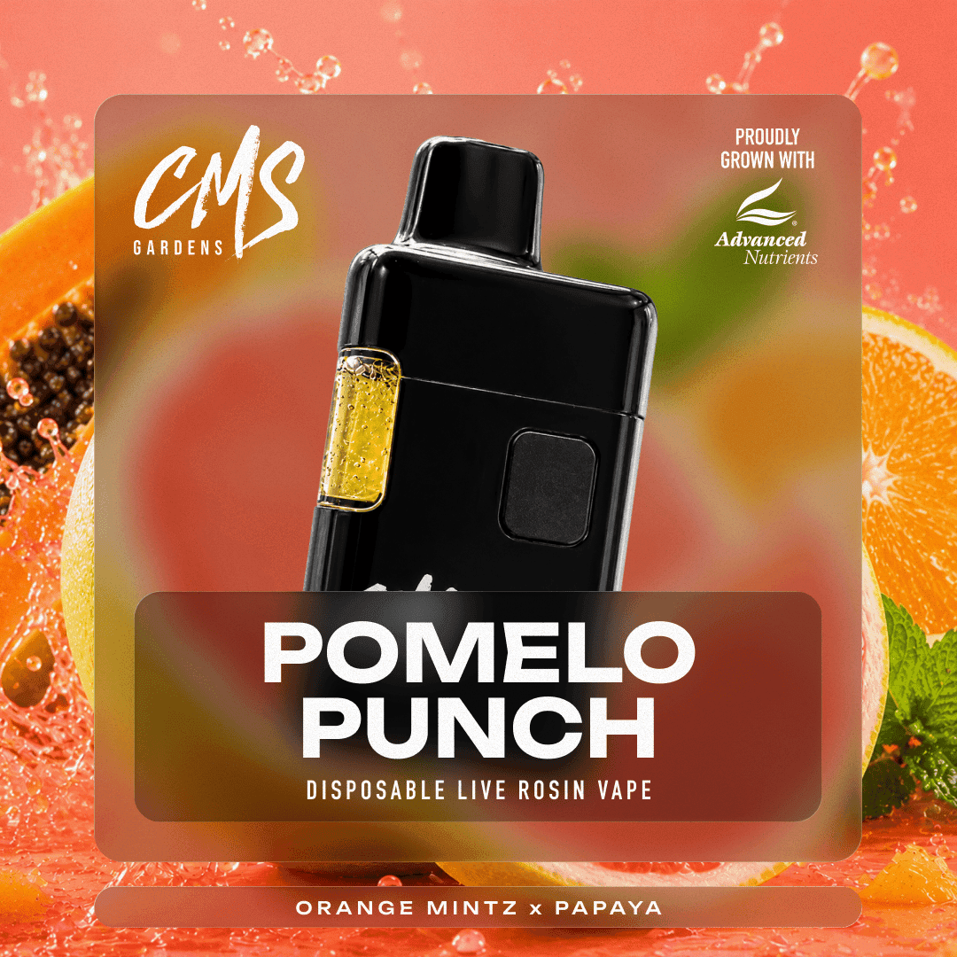 CMS Gardens - Pomelo Punch - Indica Hybrid - (Live Rosin) Disposable Vape