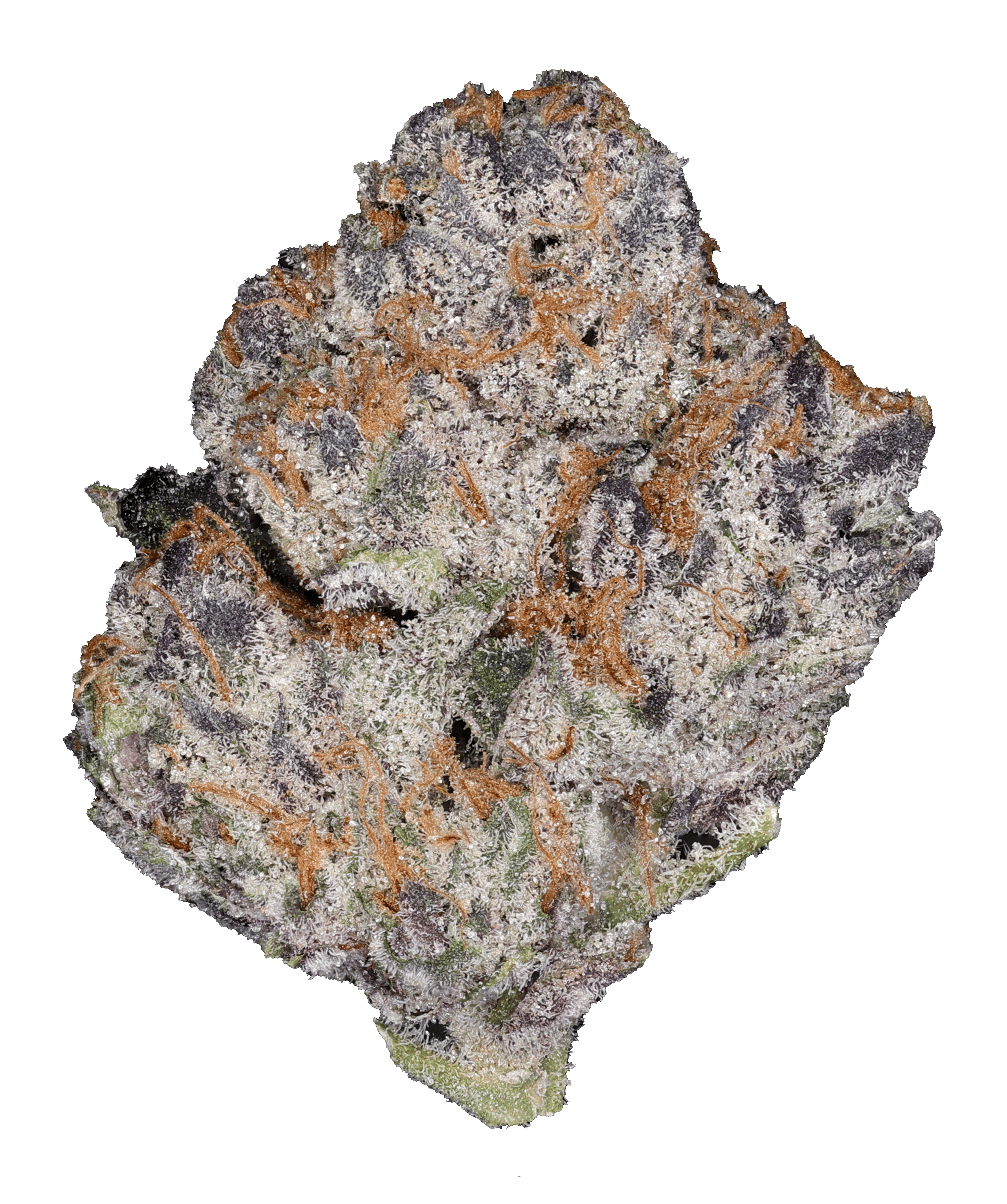 Galactic Warheads