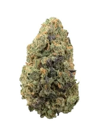 Alaskan Purple