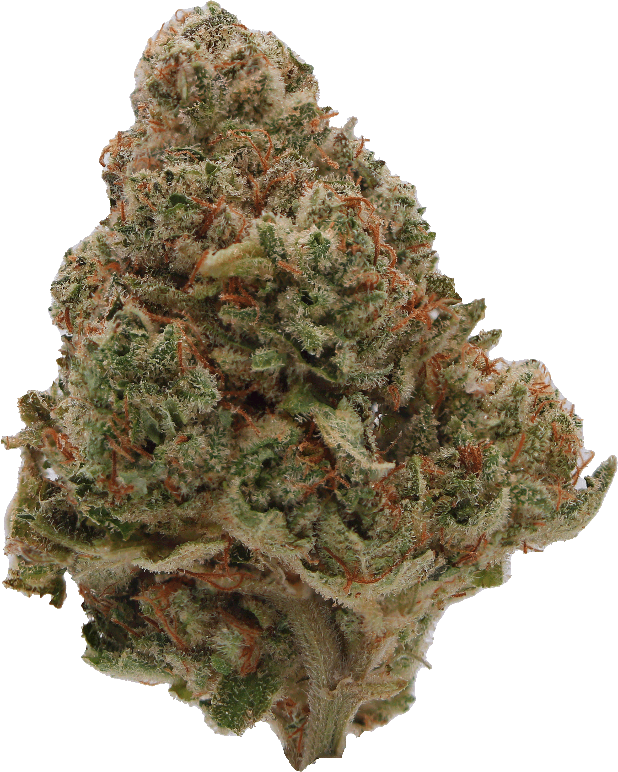 Pineapple Papaya