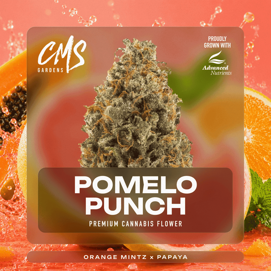 Pomelo Punch