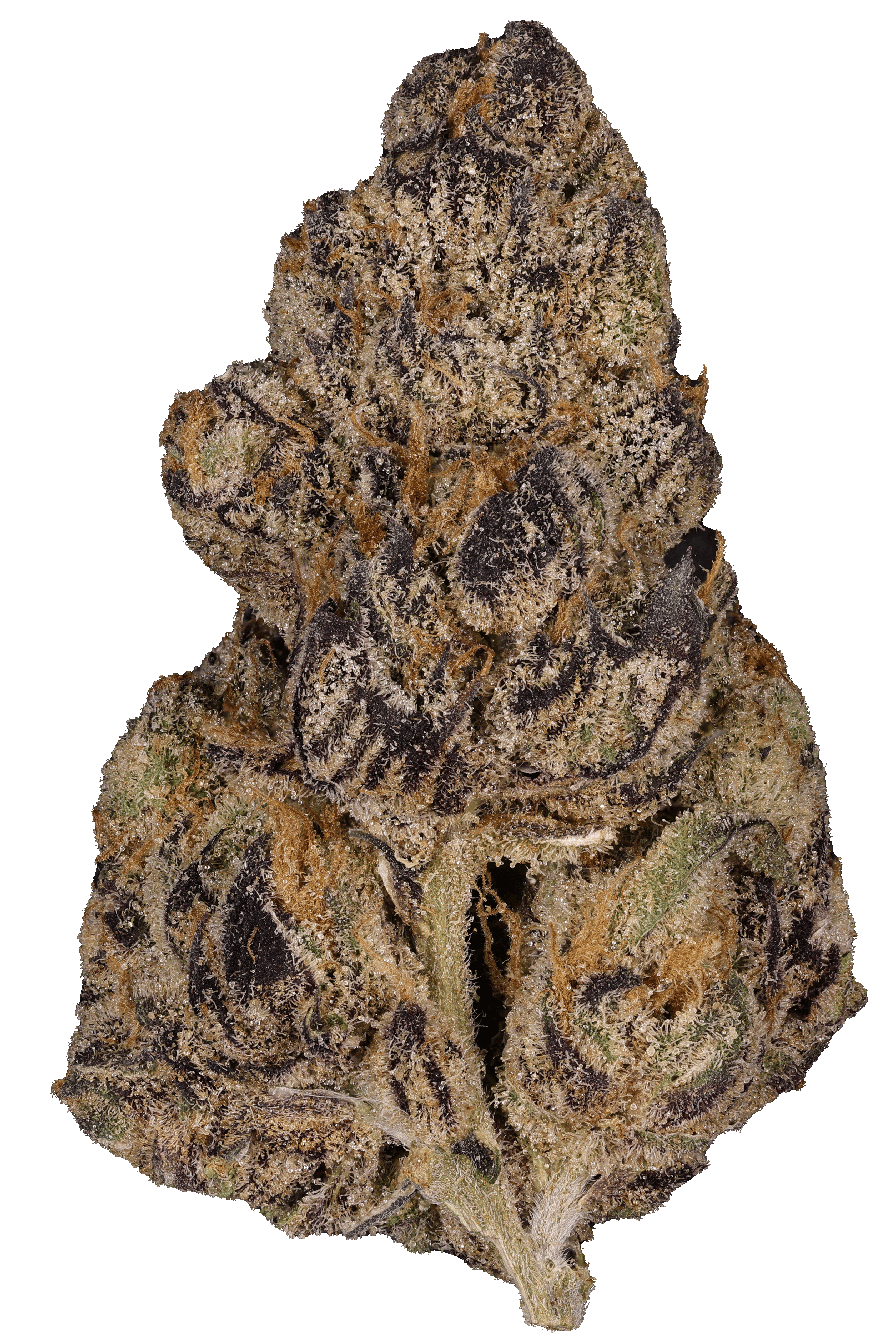 Cali Funk