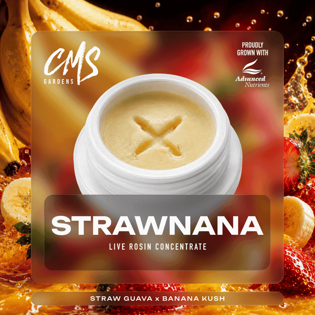 Strawnana Live Rosin