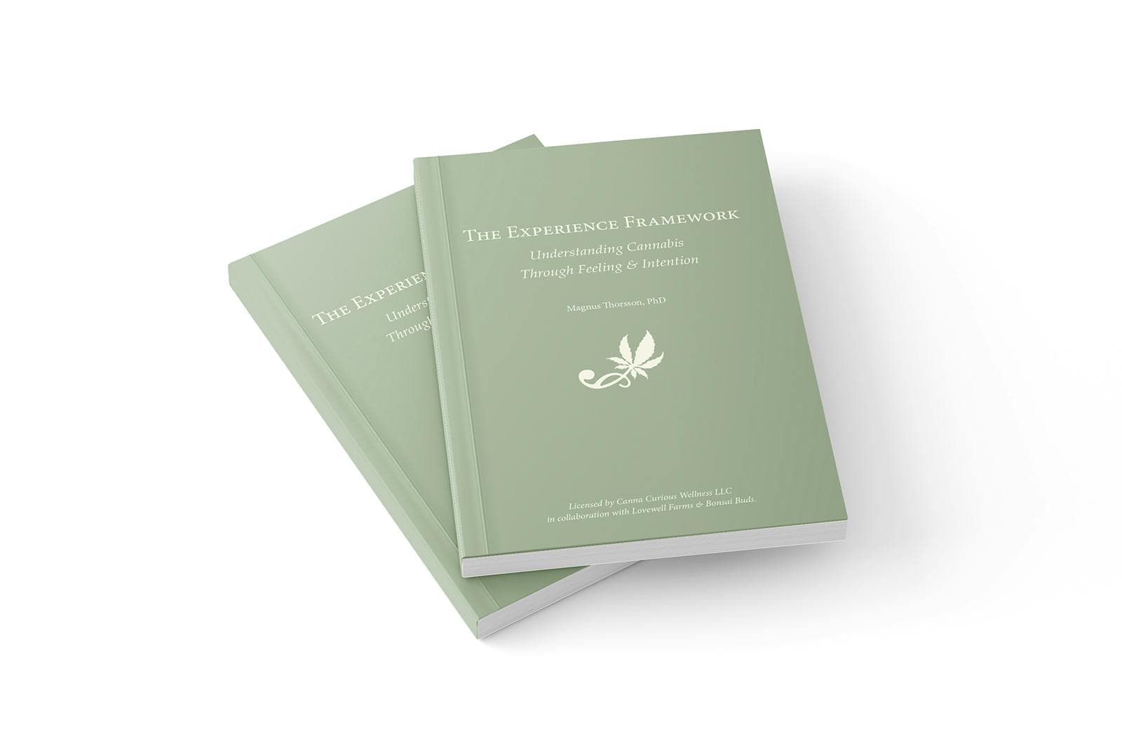 The Experience Framework Book