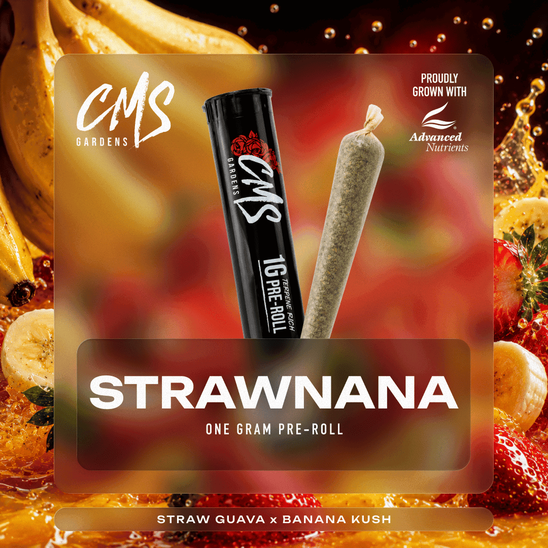 CMS Gardens - Strawnana Pre-Roll