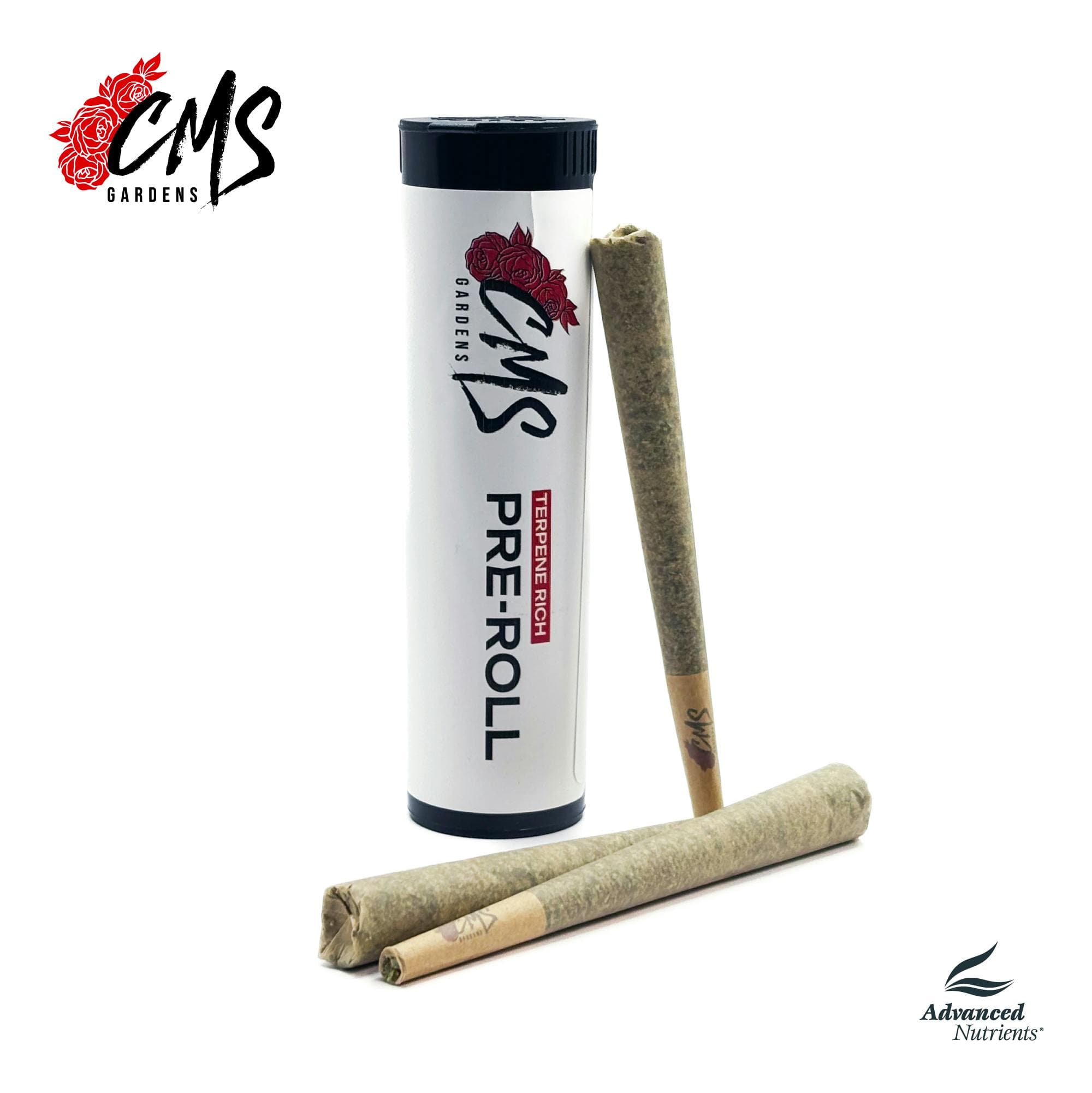 Permanent Marker - x 3pk Preroll Multipack