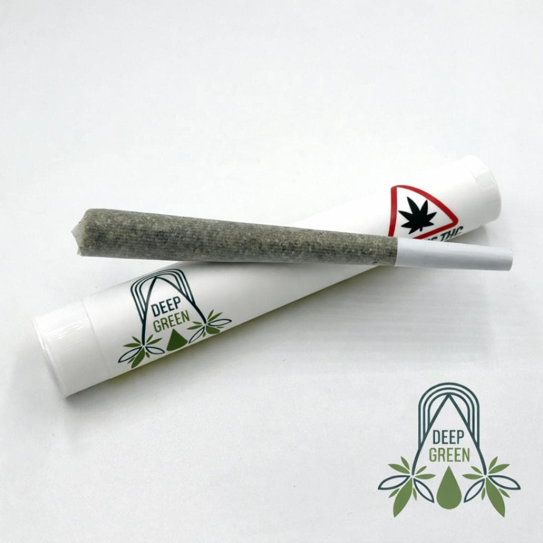 Dark Ghost Train Preroll