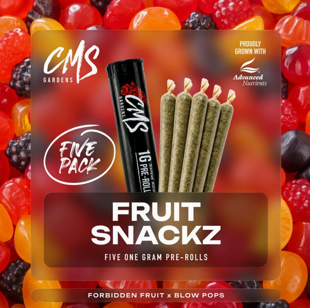 Fruit Snackz x 5pk