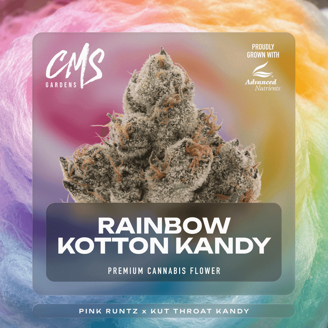 Rainbow Kotton Candy