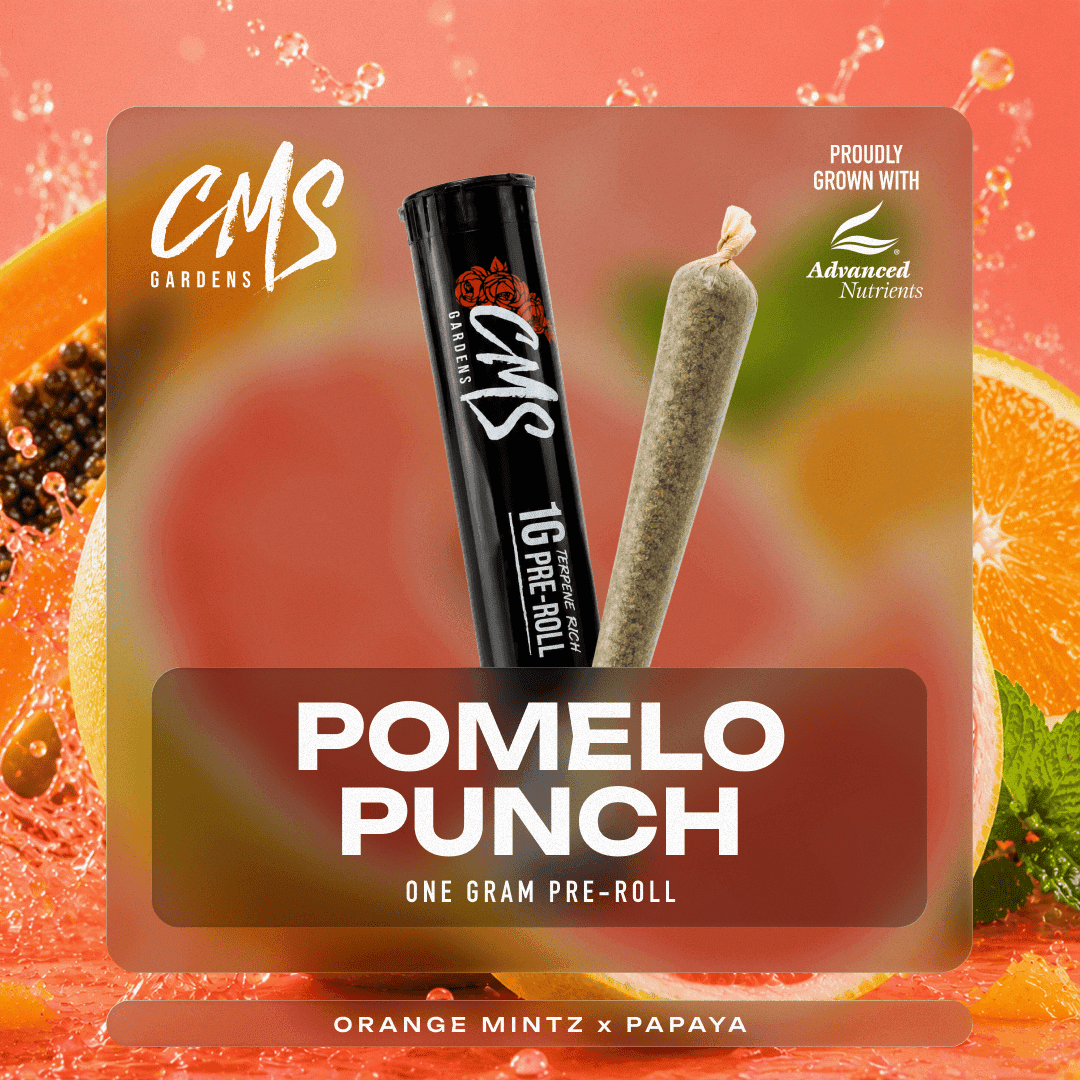 Pomelo Punch