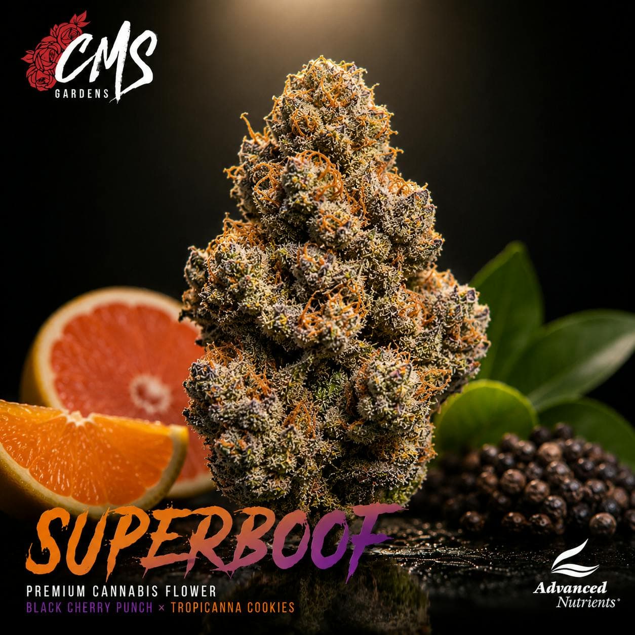 Superboof Bud Bar
