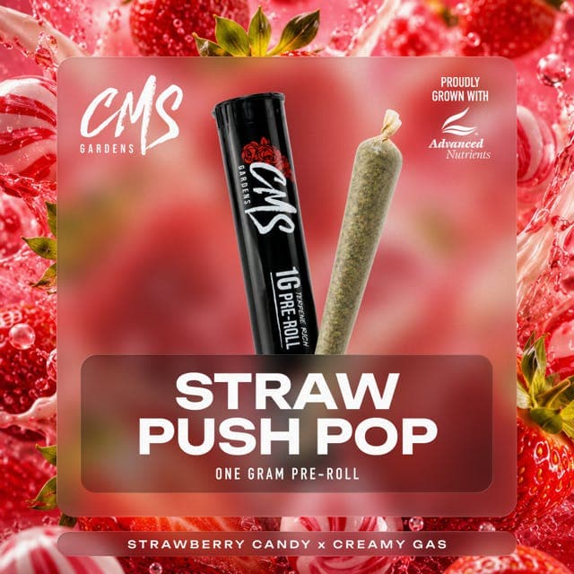 Strawberry Push-Pop