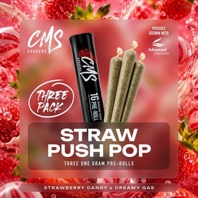 Strawberry Push-Pop