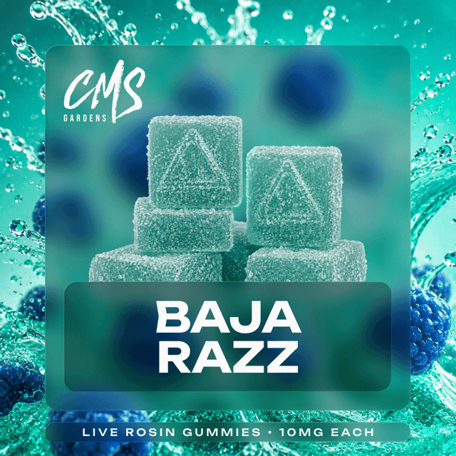 Baja Razz Live Rosin