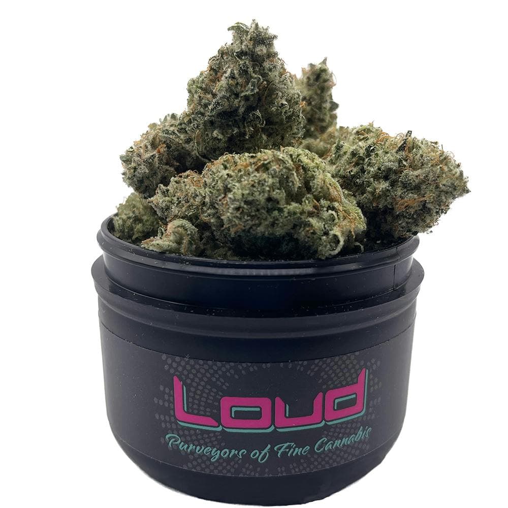 Sour Animal
